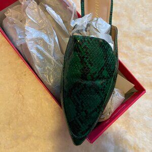 FRANCEEN POINTED TOE FLAT